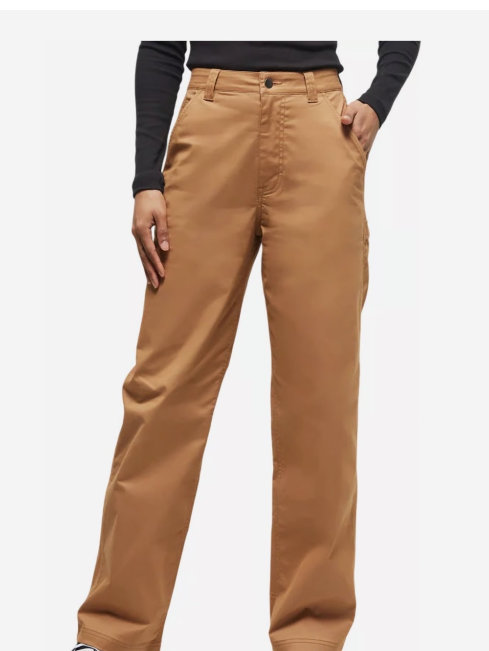 NWT tentree Techblend Tan Pants, 10